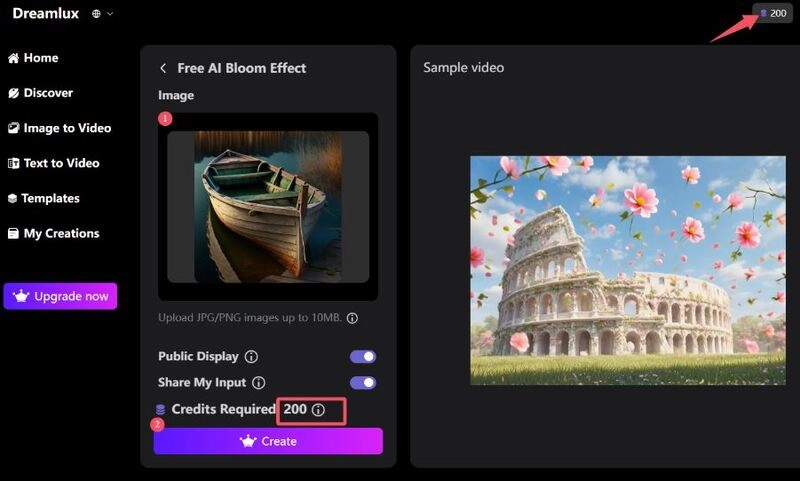 How to Use Dreamlux - Step 2