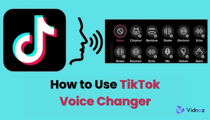 How to Use TikTok Voice Changer? - Ultimate Guide in 2024