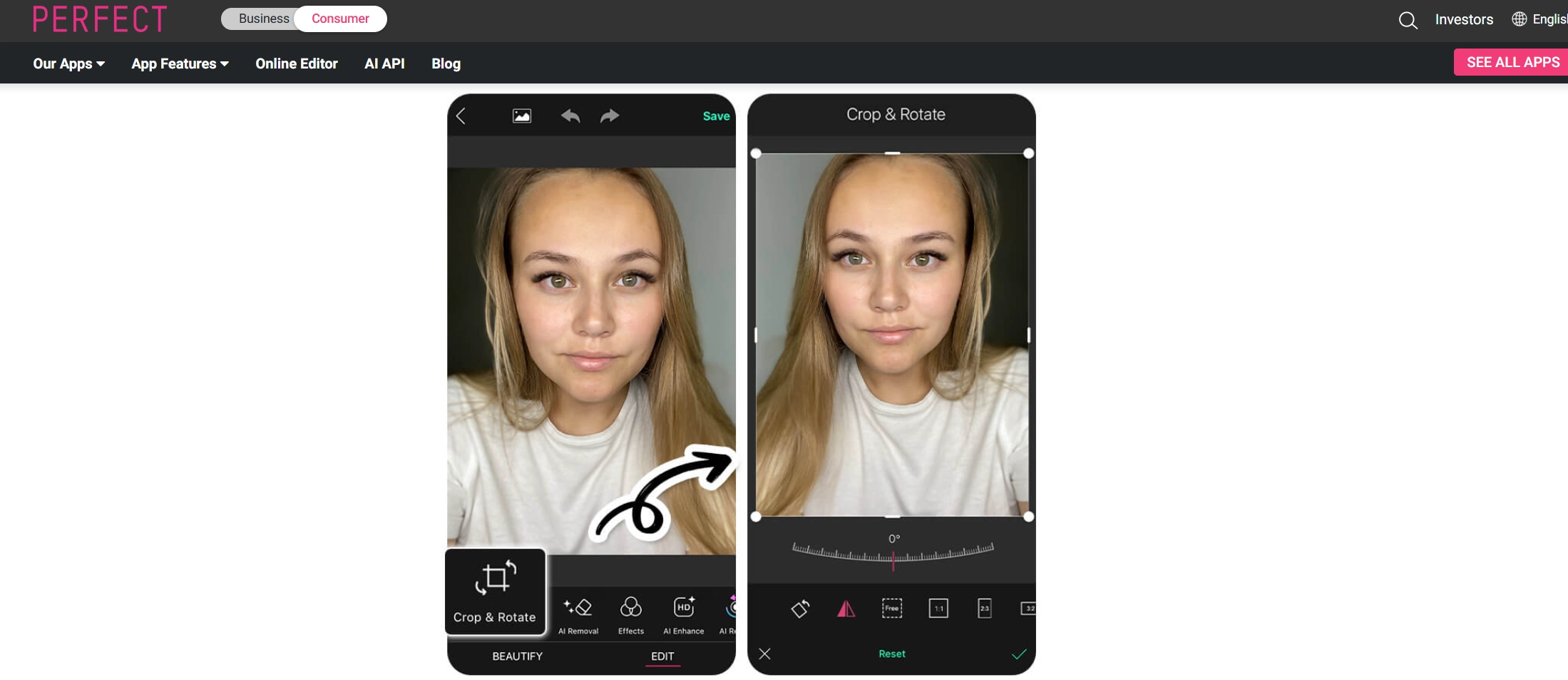 Inverted Face Filter Perfectcorp