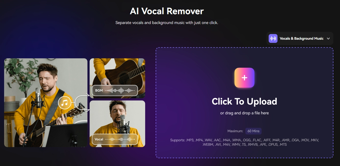 Media IO AI Instrumental Remover