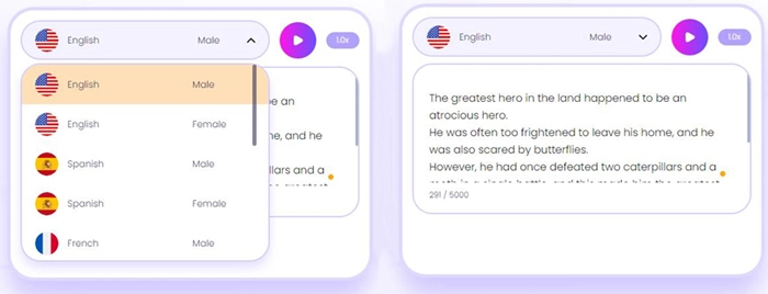 Online Text to Speech with Languages and Texts
