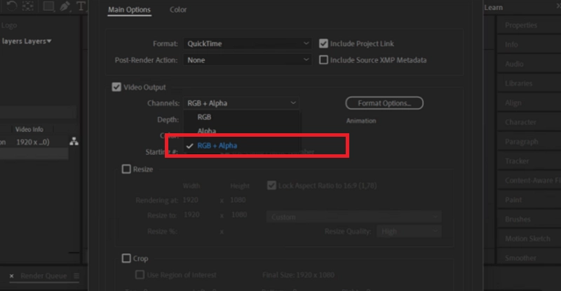 Output Setting for Transparent Background Video
