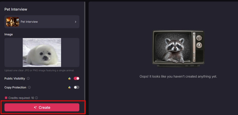 Pet Interview Pollo Create