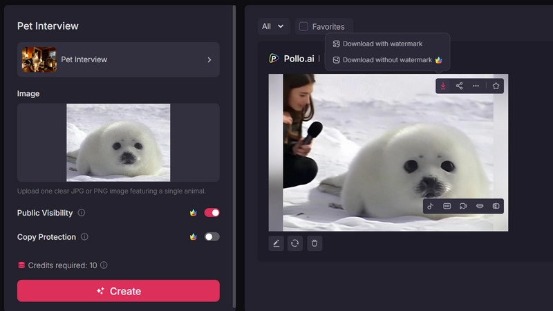 Pet Interview Pollo Result