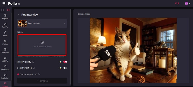 Pet Interview Pollo Upload