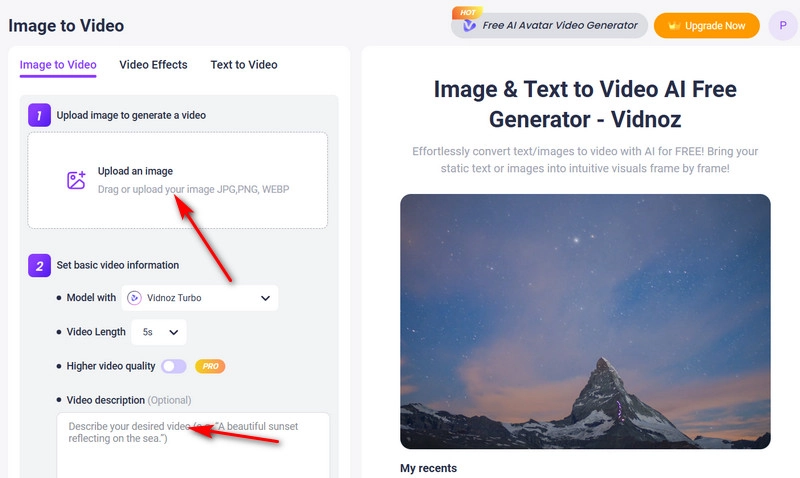 Pet Interview Vidnoz Image to Video Launch