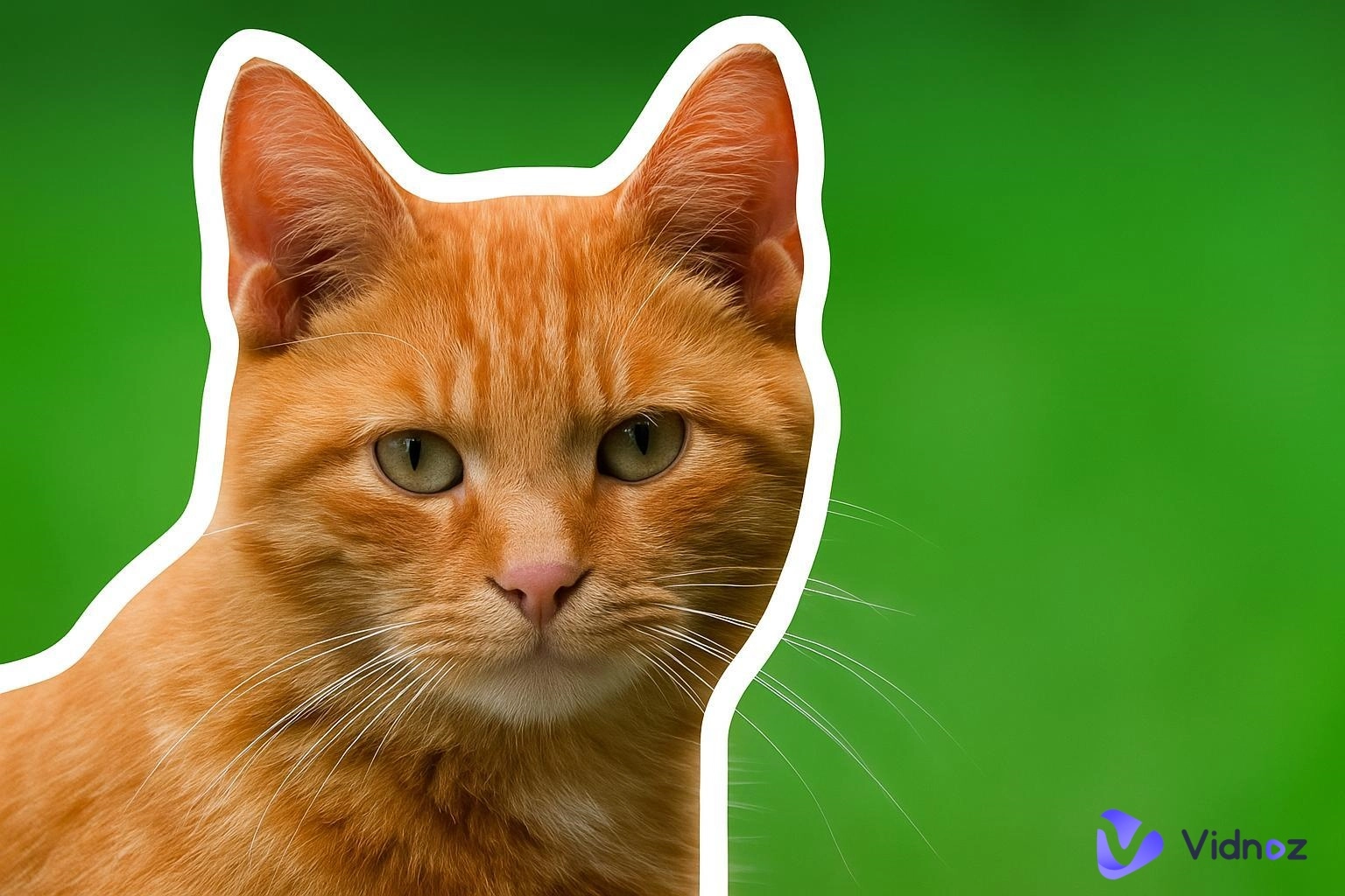 Best Picture Outline Maker Tools for Stunning Visuals