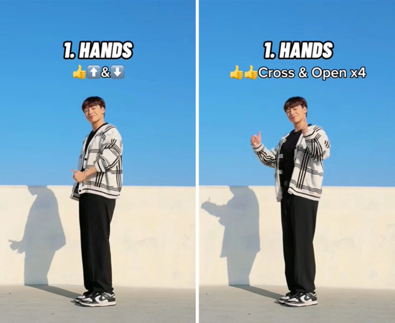 Pikki Pikki Dance TuTorial