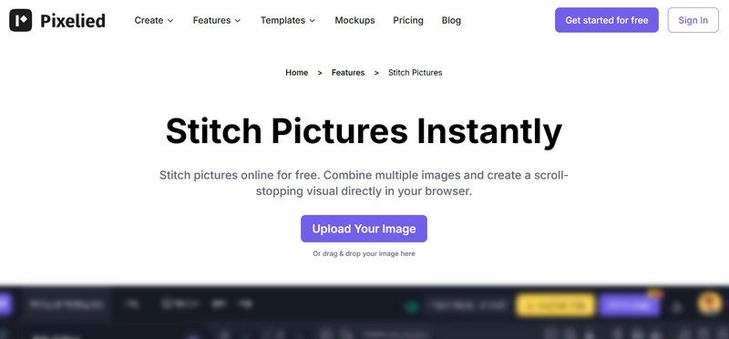 Pixelied Stitch Pictures Online