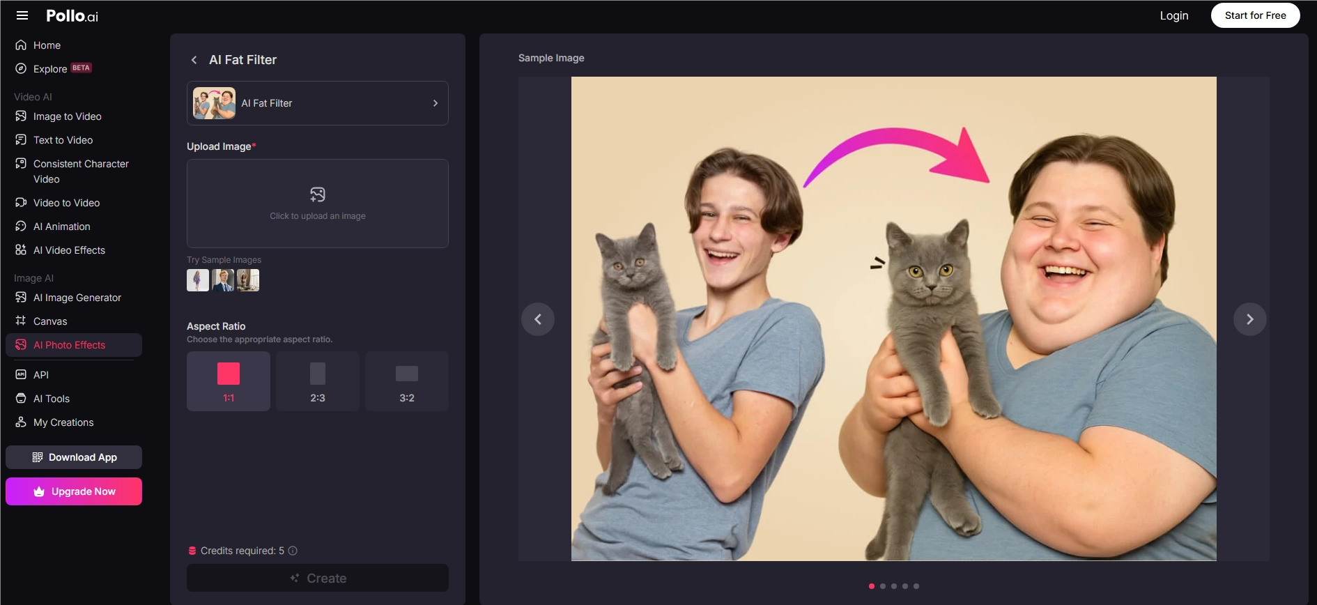 Pollo AI Fat AI Filter