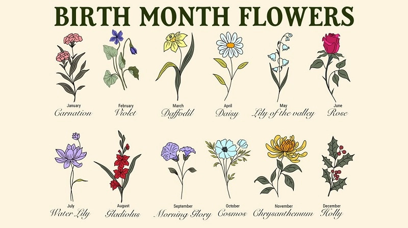 Primary Birth Flower By Month