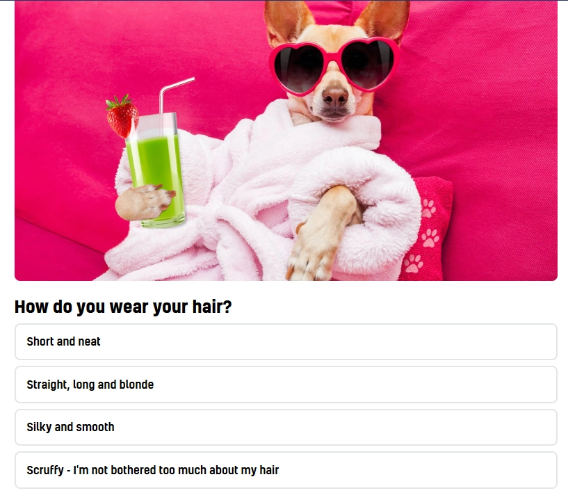 Quotev - What Type of Animal Face Do You Have