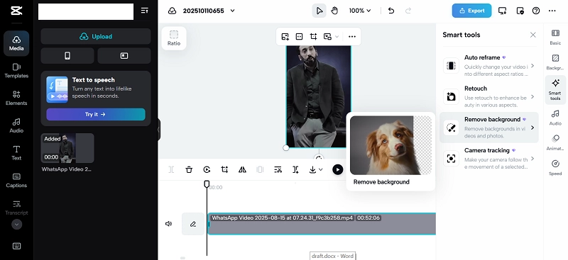 Remove Background to Make a Transparent Video on Capcut