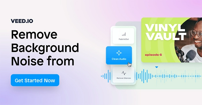 Remove Noise with One Click Using VEED