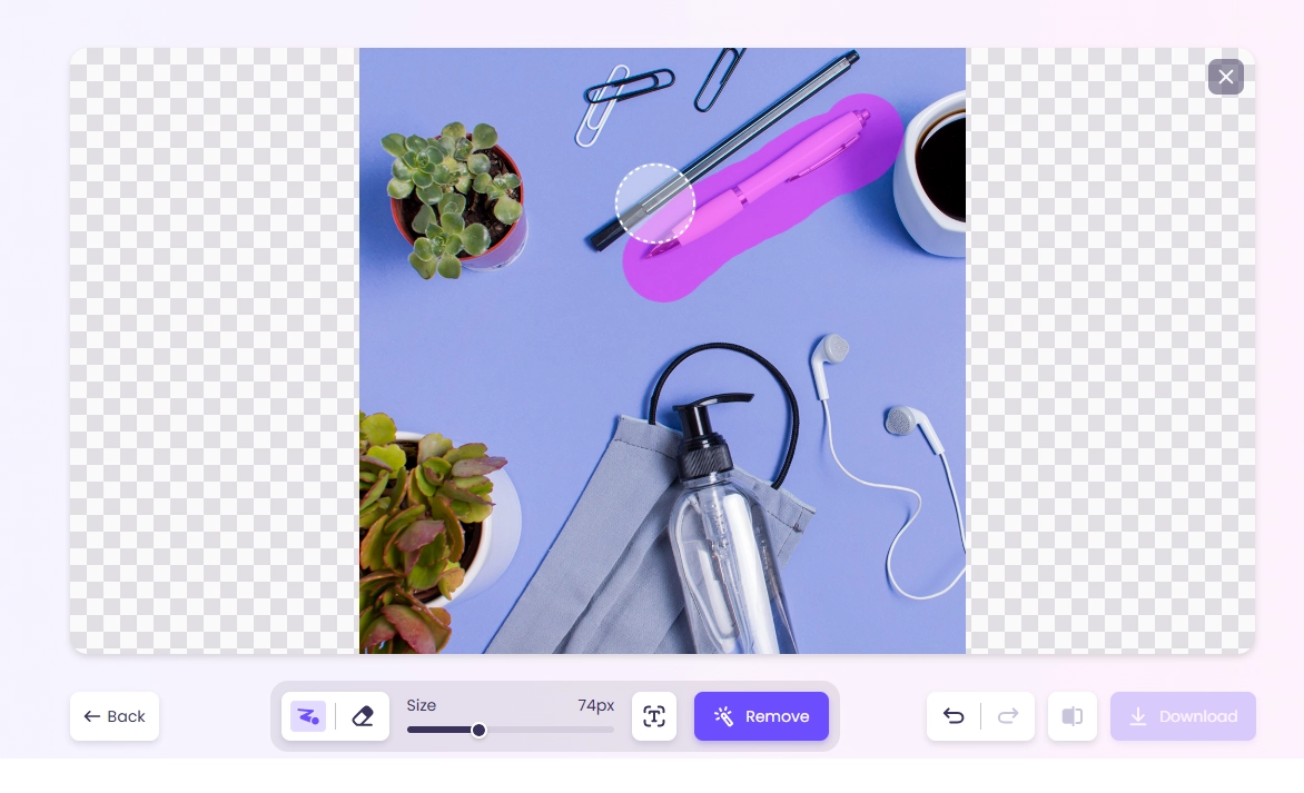Remove Unwanted Objects
