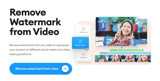 Veed.io Watermark Remover