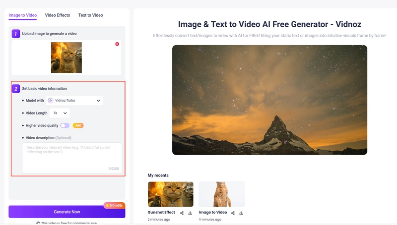 Set Basic Video Information of Cat Video