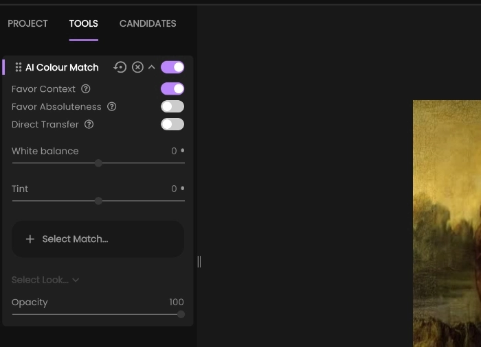 Set Video Color Matching