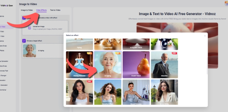 Step 1 on How to Use Vidnoz AI Age Filter