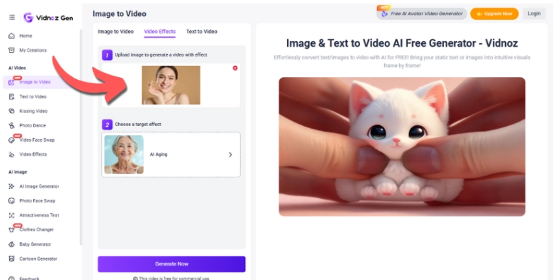 Step 2 on How to Use Vidnoz AI Age Filter