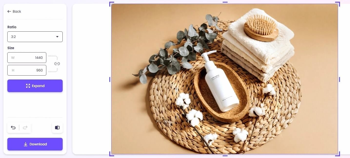 Stretch Image Online via Vidnoz Result