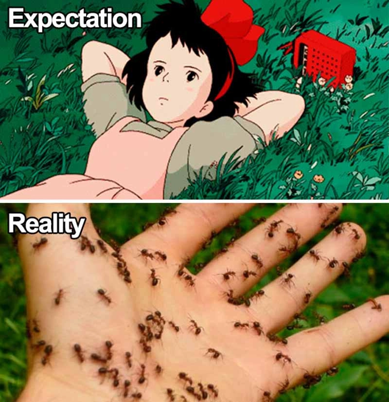 Studio Ghibli Meme Joke