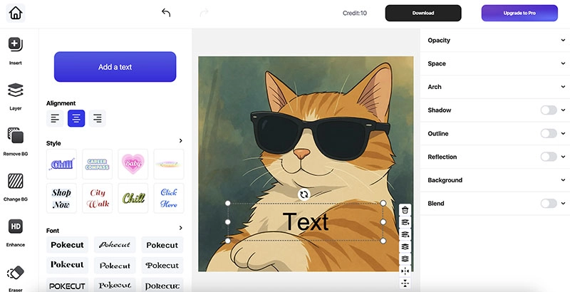 Studio Ghibli Meme Pokecut