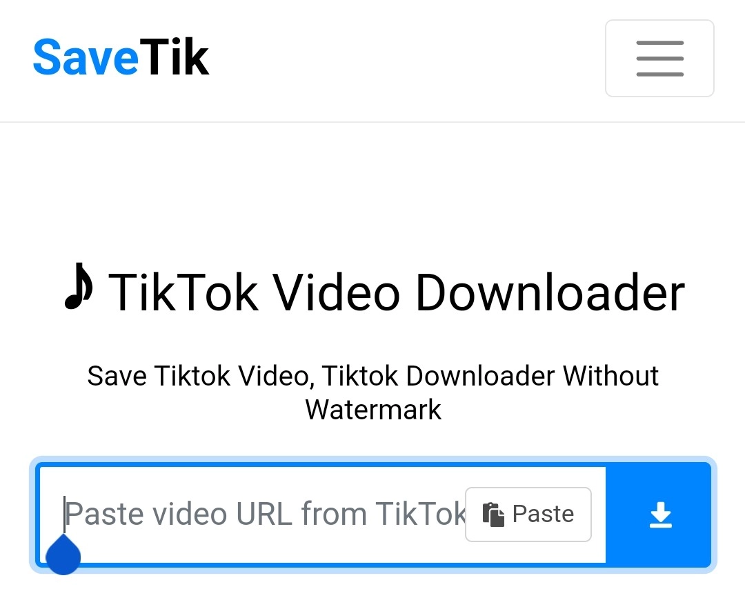 TikTok Watermark Remover Download 2