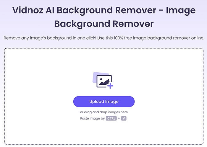 Transparent Background Maker Vidnoz Background Remover