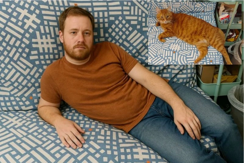 Turn Cat into Human - Tabby Cat