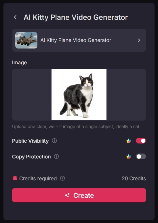 Turn Cat to Kitty Plane from Image