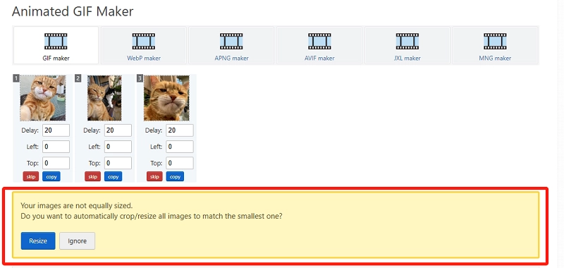 Upload Cat Selfie Images