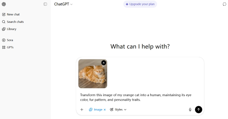 Upload Photo and Enter Prompt in GPT-4o for Turning Cat to Human
