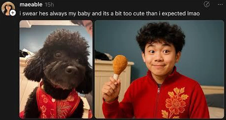 Use AI Pet to Human to Share with Family & Friends