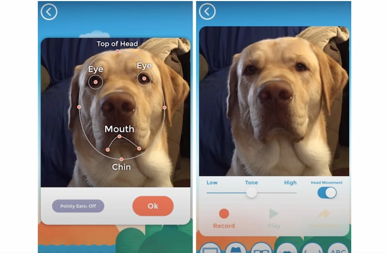 Use My Talking Pet to Create a Talking Dog Video