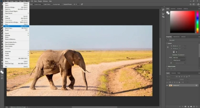 Use Spot Healing Brush Tool From Photoshop to Remove Unwanted Objects