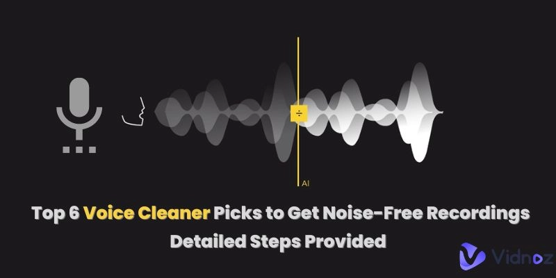 Top 6 Voice Cleaner Picks to Get Noise-Free Recordings [With Detailed Steps]