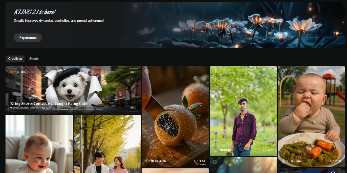 Veo3 Alternative for Image to Video Generation