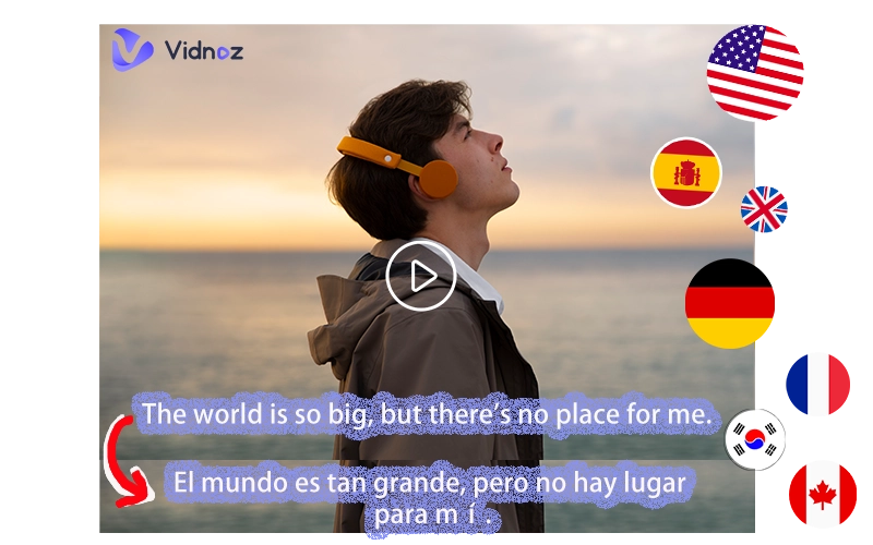 Video Subtitle Translator