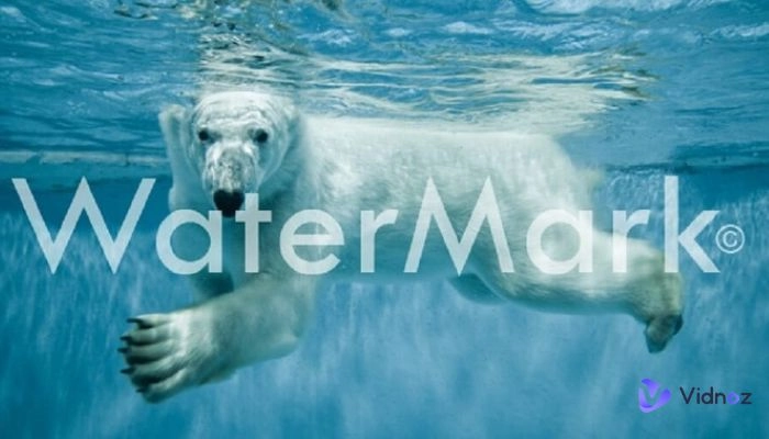 Video Watermark Remover: Best 5 to Get Rid of Watermarks