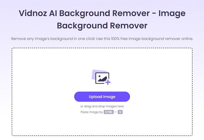 Vidnoz AI Background Remover