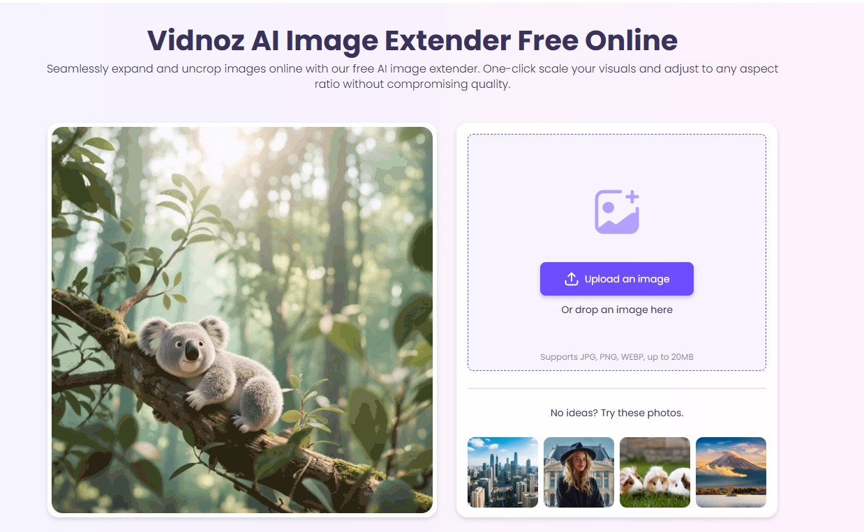 Vidnoz AI Image Extender