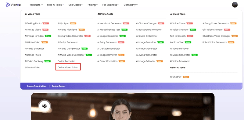 Vidnoz AI Online Video Editor