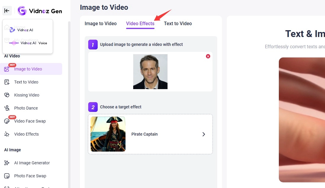 Vidnoz AI Pirate Image to Video