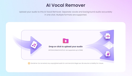 Vidnoz AI Vocal Remover Free AI Voice Isolation Platform