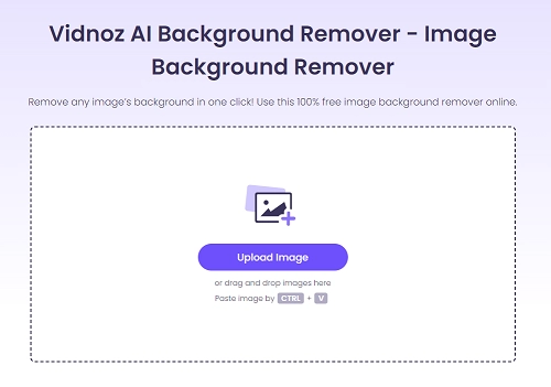 Vidnoz Best AI Image Background Changers