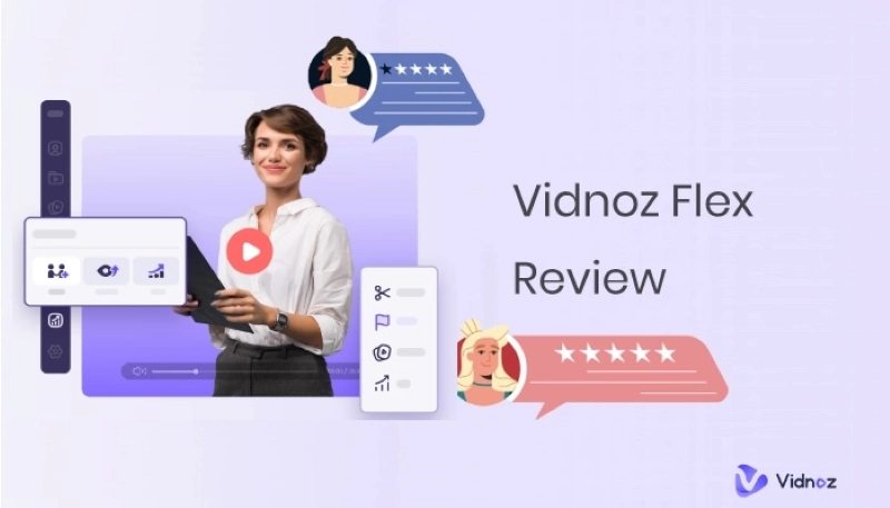 Vidnoz Flex Review