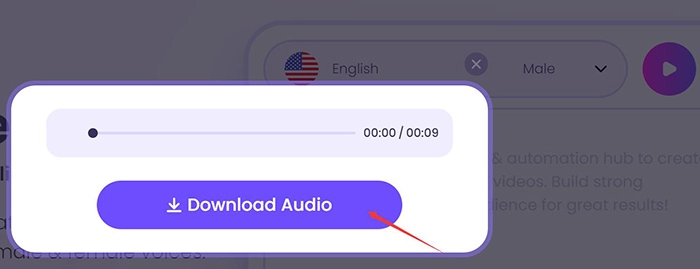 Vidnoz Text to Speech Step 3