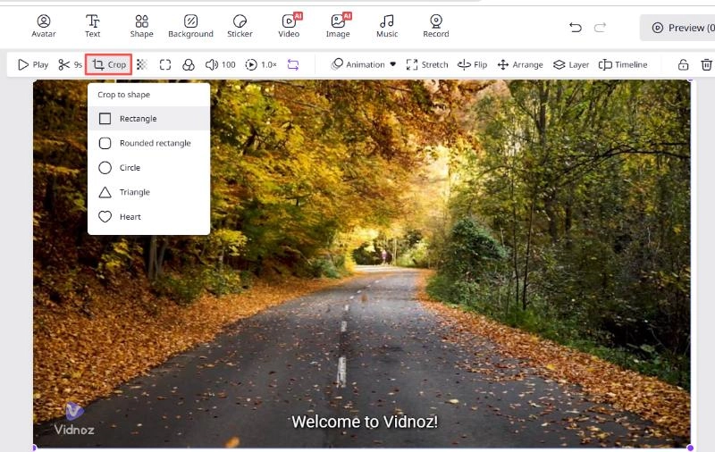 Vidnoz Video Object Remover With Crop Option