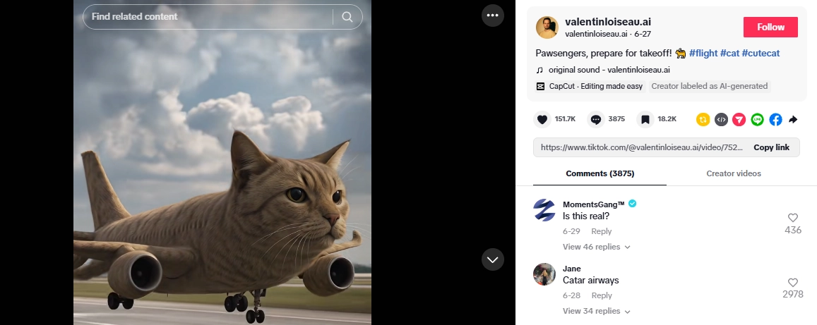 Viral AI Kitty Plane Video on TikTok